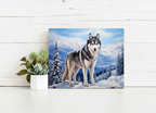 Arctic Husky Watch – Paint by Numbers Kit