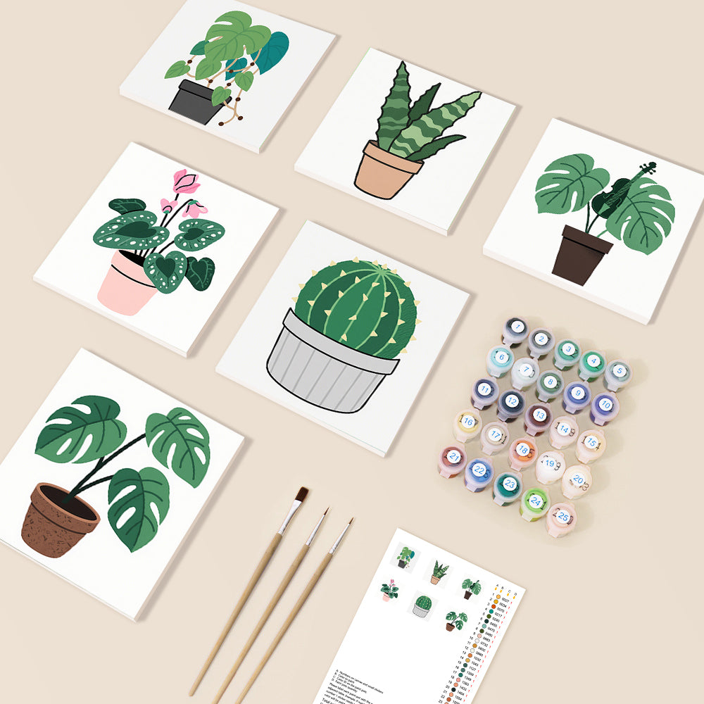 Green & Clean Botanicals 6 Piece Kit