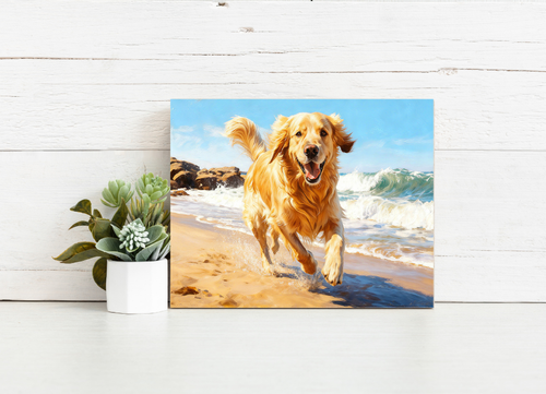 Golden Shore Pup – Paint by Numbers Kit