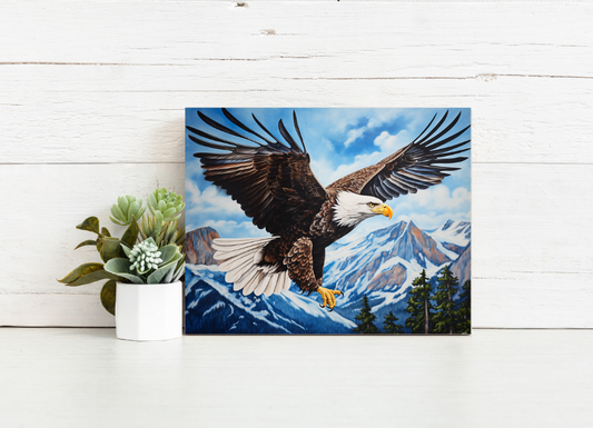 Soaring Bald Eagle – Paint by Numbers Kit