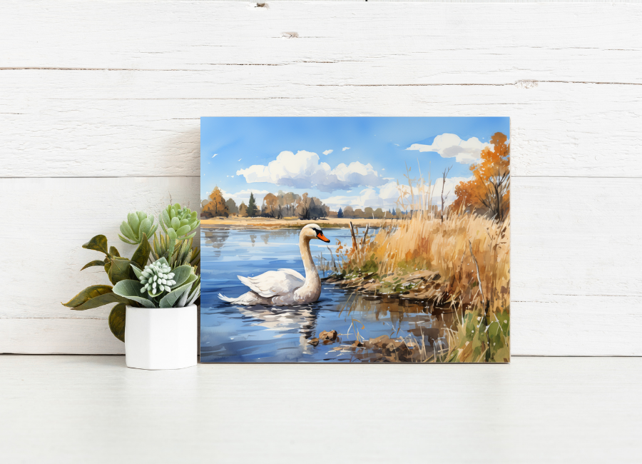Lakeside Swan – Paint by Numbers Kit