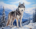Arctic Husky Watch – Paint by Numbers Kit