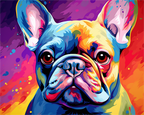 Pop Art Frenchie – Paint by Numbers Kit