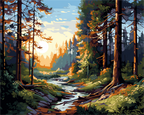 Forest Sunrise Path – Paint by Numbers Kit