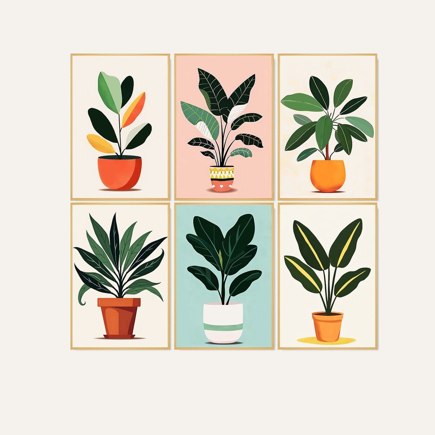 Plant Parent Club - 6 Piece Kit